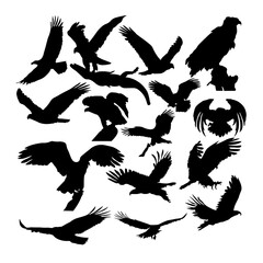 Majestic Eagle Bird Flying Vector Design: Perfect for Nature Logos, Wildlife Posters, and Outdoor Branding