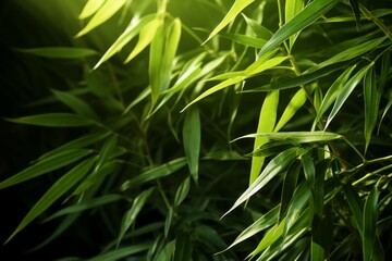 Fototapeta premium Bamboo Material Structure Background - Generative AI