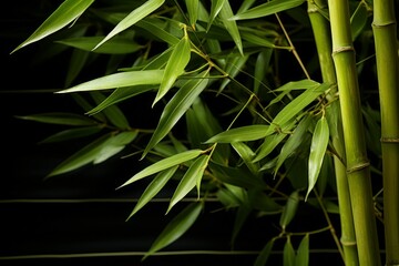 Fototapeta premium Bamboo Material Structure Background - Generative AI