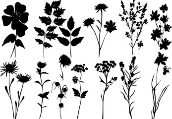Hand drawn flower silhouettes Illustration