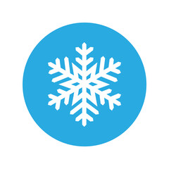 Snowflake icon vector. Winter illustration sign. Cold illustration symbol. 