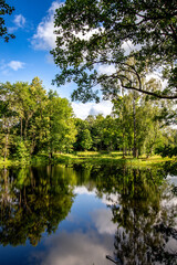 Landscape of forest and lakes