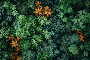 Obraz premium Aerial view of lush tropical rainforest with vibrant green and orange foliage. Nature's canopy texture in an untouched jungle.