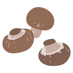 A group of brown champignon mushroom isolated on transparency background