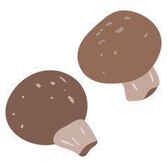 A group of brown champignon mushroom isolated on transparency background