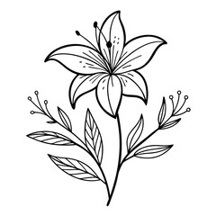 Line art of simple lily flower 
