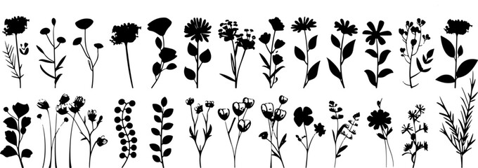 Hand drawn flower silhouettes Illustration