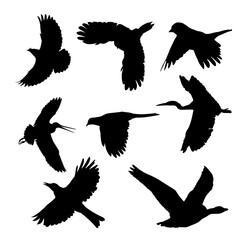 Black Flying birds Silhouettes Vector Illustration. birds in flight icons