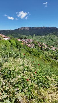 Sprring view of village of Metsovo near city of Ioannina, Epirus Region, Greece