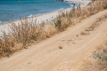 Dirt road in the countryside by seashore with dry grass on the ground on sunny summer day
