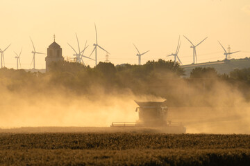 Fototapeta premium Combine harvester working on the field during golden hour.
