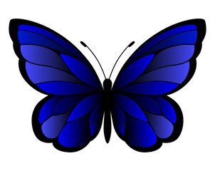 The blue butterfly