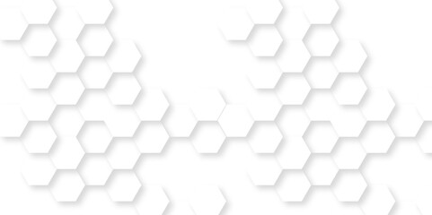 Background with hexagons . Abstract background with lines . white texture background . white and hexagon abstract background. white paper texture and futuristic business .