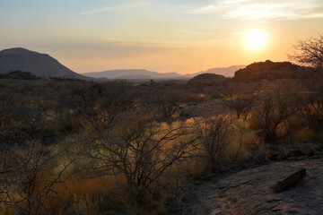 Beautiful desert evening sunset landscape in hilly area. Small dry trees and mountains in the distance