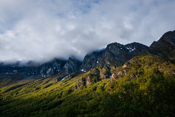 landscape in the morning