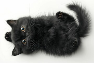 Lazy black cat enjoying rest in playful pose on white surface in comfortable position