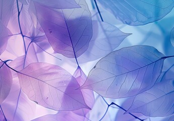  Colorful Leaf Garland on Purple Background