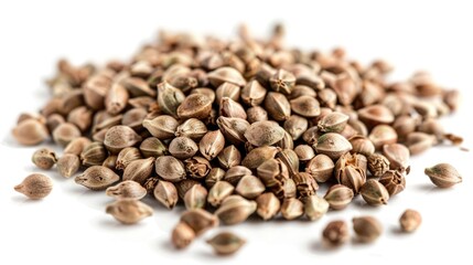 Fototapeta premium Pile of seeds scattered on a white surface, useful for agriculture, gardening or educational purposes