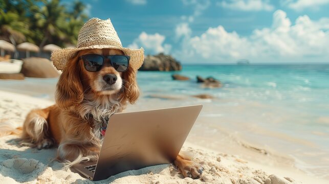 Animal dog freelancer working at tropical beach, holding laptop 