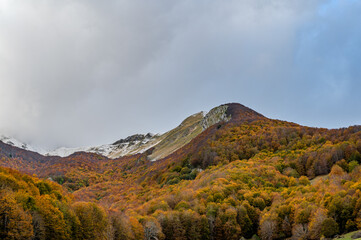 Molise, Mainarde. Autumn landscape. Foliage