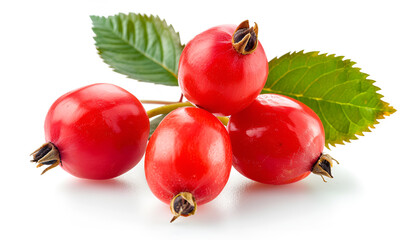 rose hip berry with leaf isolated on white background