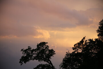 beautiful cloudy sunset creating pink and orange clouds.