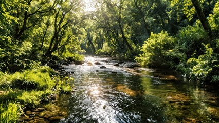Naklejka premium a river surrounded by lush green trees on a sunny day
