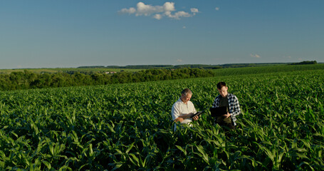 Two farmers from different generations collaborating in a cornfield, using a laptop. Concept of learning and knowledge transfer © StockMediaSeller