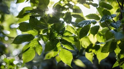a close up of a bunch of green leaves