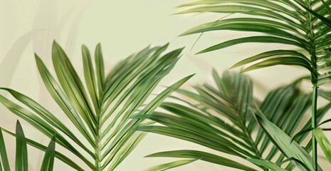  Tropical Plants, Indoor Bamboo, Natural Interior Decoration, Green Leaves and Rustic Foliage, Plant Arrangement Ideas