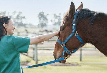 Veterinarian, horse and care on outside farm, medical employee and animal healthcare checkup on...