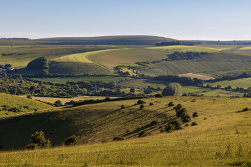 A rolling Sussex landscape on a sunny summer's evening