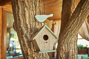Bird house on a tree in the garden outdoors. Selective focus