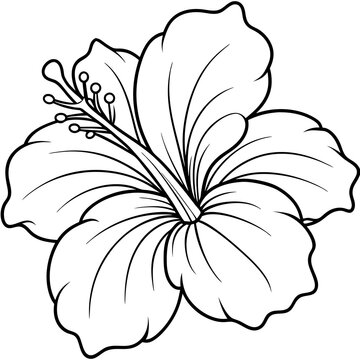 recommend clip art:  Line art of hibiscus flower