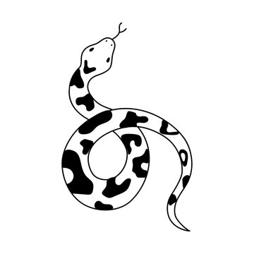 Vector isolated element, snake. Hand drawn doodle.