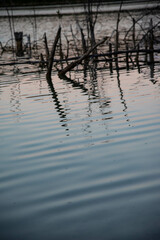Nature, river, mountains