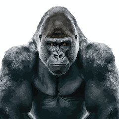Fototapeta premium Beautiful Portrait of a Gorilla. Male gorilla , severe silver back, anthropoid ape