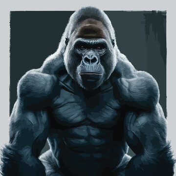  Beautiful Portrait of a Gorilla. Male gorilla , severe silver back, anthropoid ape