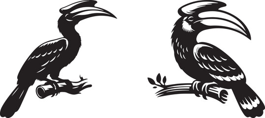 illustration of a hornbill
