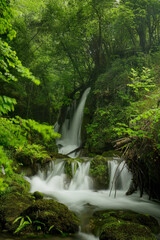 Sardea waterfall, Pilo&ntilde;a, Asturias, Spain