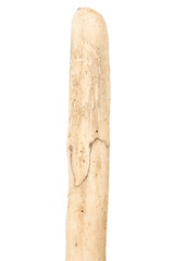 Part of driftwood isolated on white background.