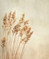 Fototapeta premium Elegant Dry Grass Texture Overlay