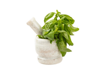 Fresh green basil in a mortar isolated on a white background. Organic spices and herbs. Vegan. Fresh kitchen herbs. Fresh basil being made into pesto with mortar and pestle.
