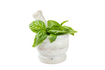 Fresh green basil in a mortar isolated on a white background. Organic spices and herbs. Vegan. Fresh kitchen herbs. Fresh basil being made into pesto with mortar and pestle.