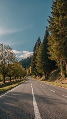 road to the mountains