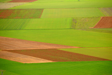 Obraz premium campos de cultivo en primavera