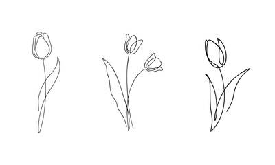 Simple floral line art style design silhouette vector isolated