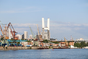 Novosibirsk, Novosibirsk region, Russian Federation - June 01 2024. Cable-stayed bridge and view of...
