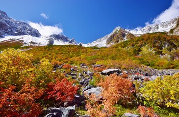 紅葉の北アルプス涸沢カール