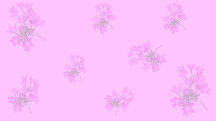 pattern with pink flowers